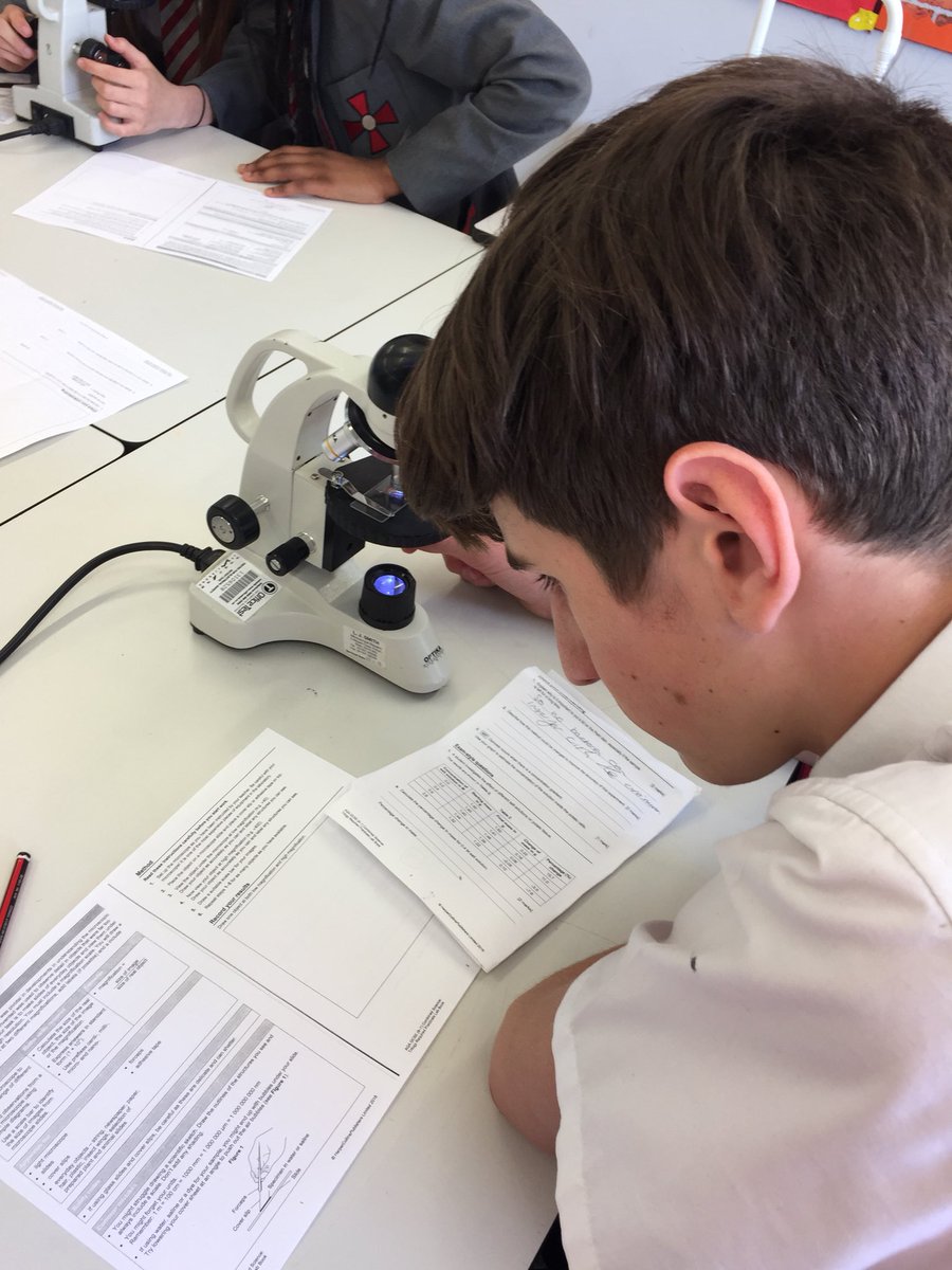 SRRCCRE's tweet photo. Science revision in action #GCSEready #bringiton #practical #revision #marketplace @srrcc_science @StRRCCollege https://t.co/ufDWE5fo5j