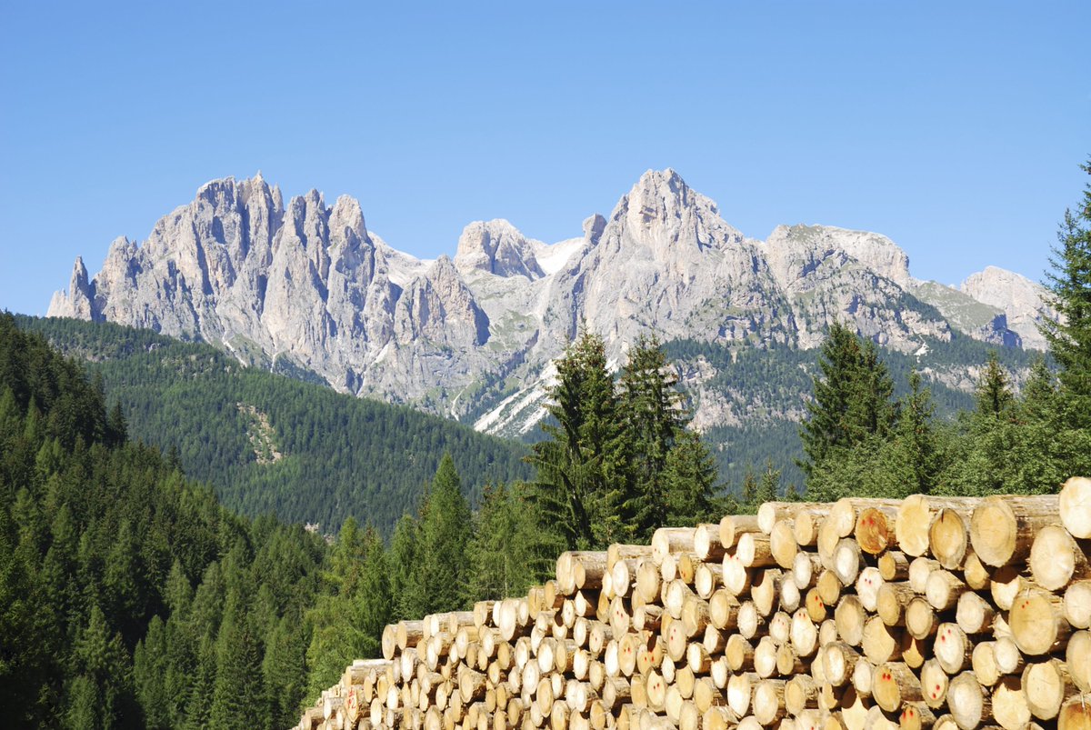 Conlegno tweet media