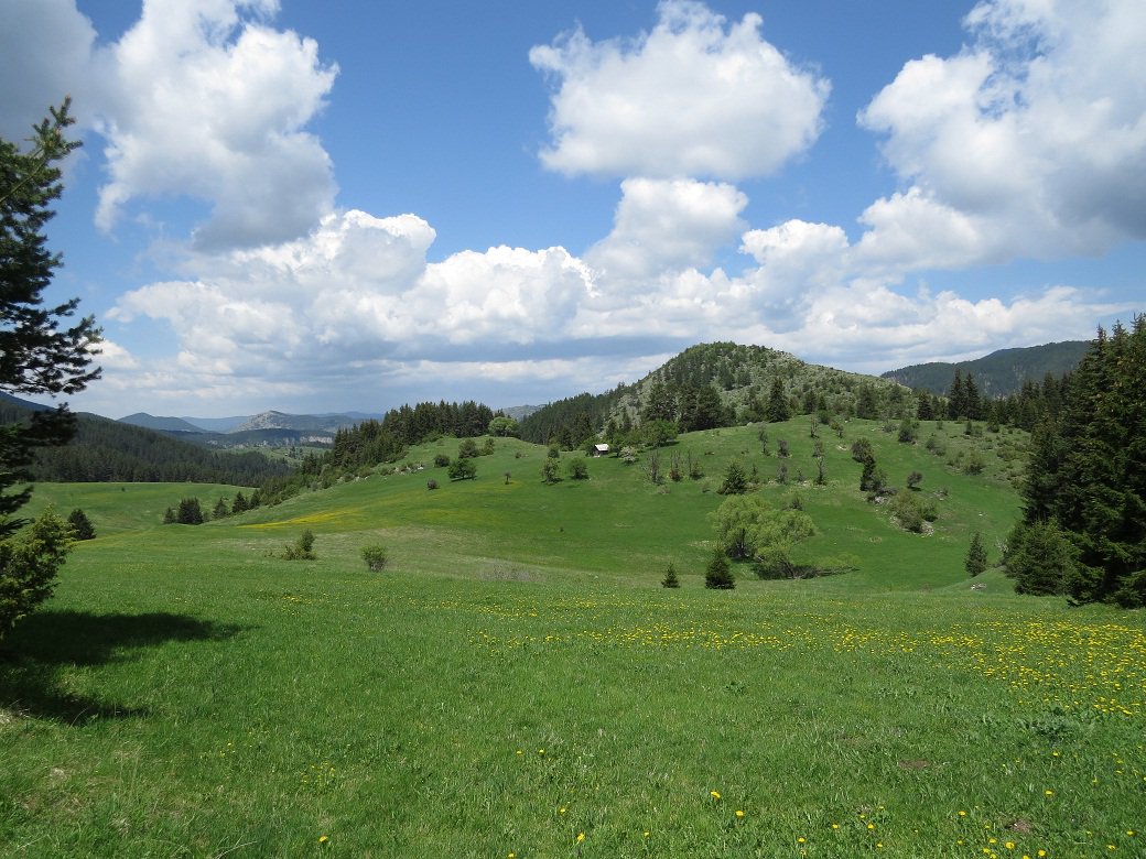 The perfect place for a picnic lunch break on yesterday's bear tracking transect!