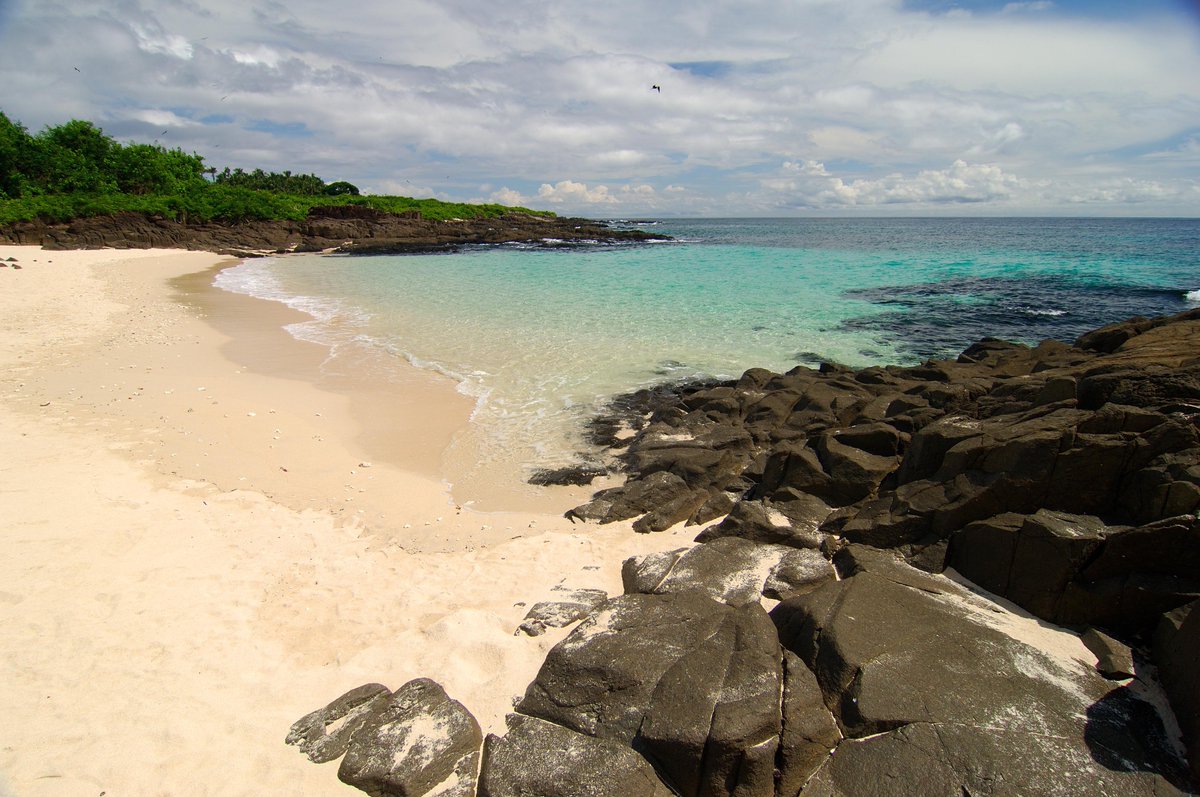 Despertar con una vista así es lo mejor, conecta con el mar y disfruta de todas sus riquezas. ☀️🌴Buenos días desde Isla Iguana en Pedasí. #visitpanama #islaiguana 🏝️
