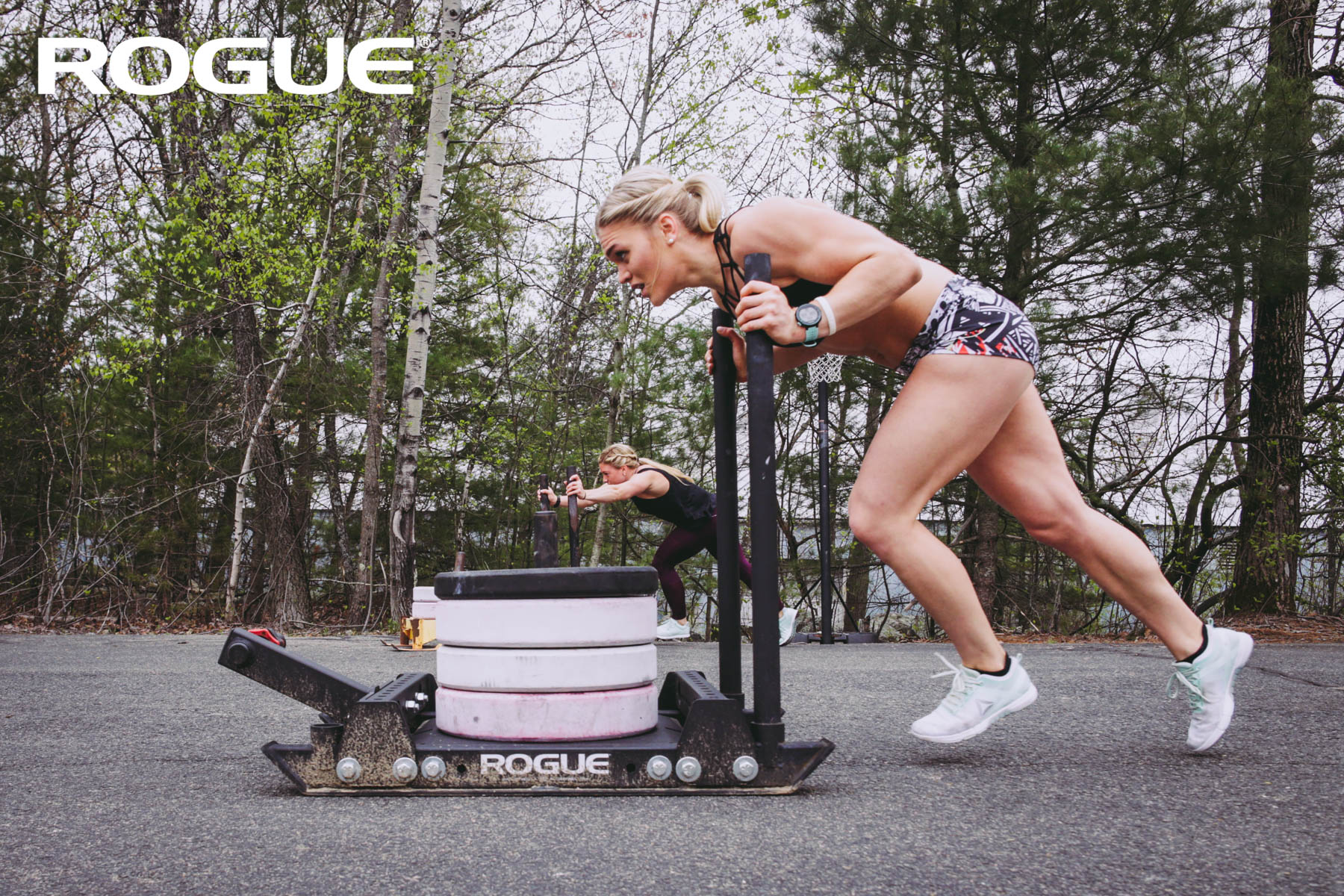 Dog sled crossfit new arrivals