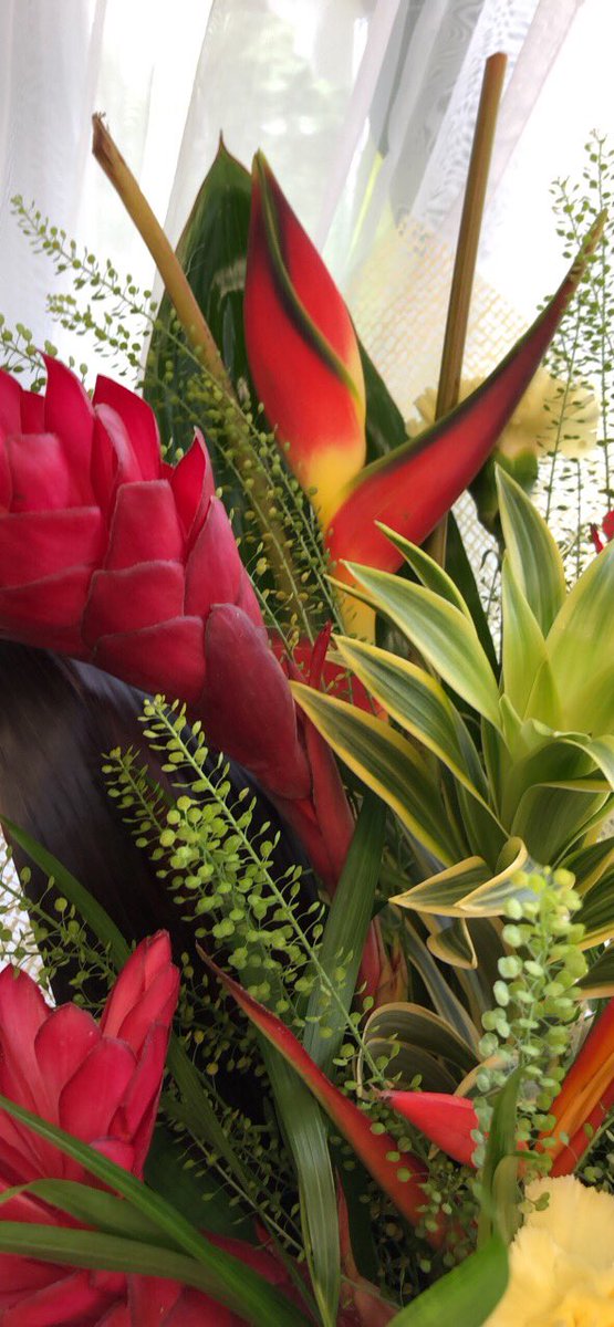 Tropical flowers now being stocked on a weekly basis #bolton #flowers  #delivery occasionflowers.org.uk 01204 799426