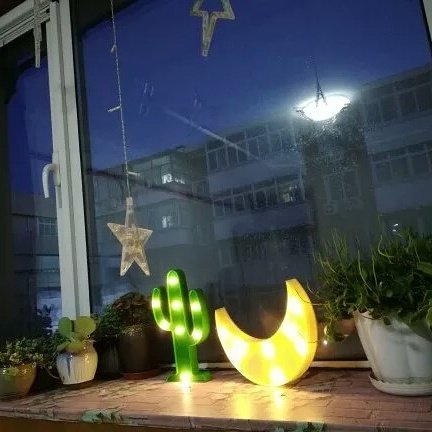 nbakilight's tweet image. #cactuslight #moonlight #curtainstringlight #homedecorlights #Akilight