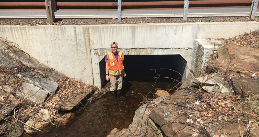 Bayside Engineering tweet media