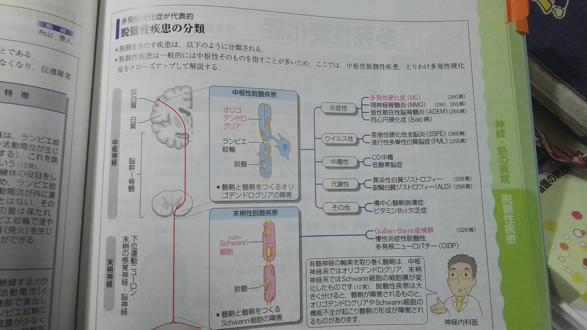 声優 梅原裕一郎が急性散在性脳脊髄炎のため休業 珍しい病気のためファンたちが調べて その深刻さに恐怖 Togetter 声優 梅原裕一郎が急性散在性脳脊髄炎のため休業 珍しい病気のためファンたちが調べて その深刻さに恐怖 Togetter