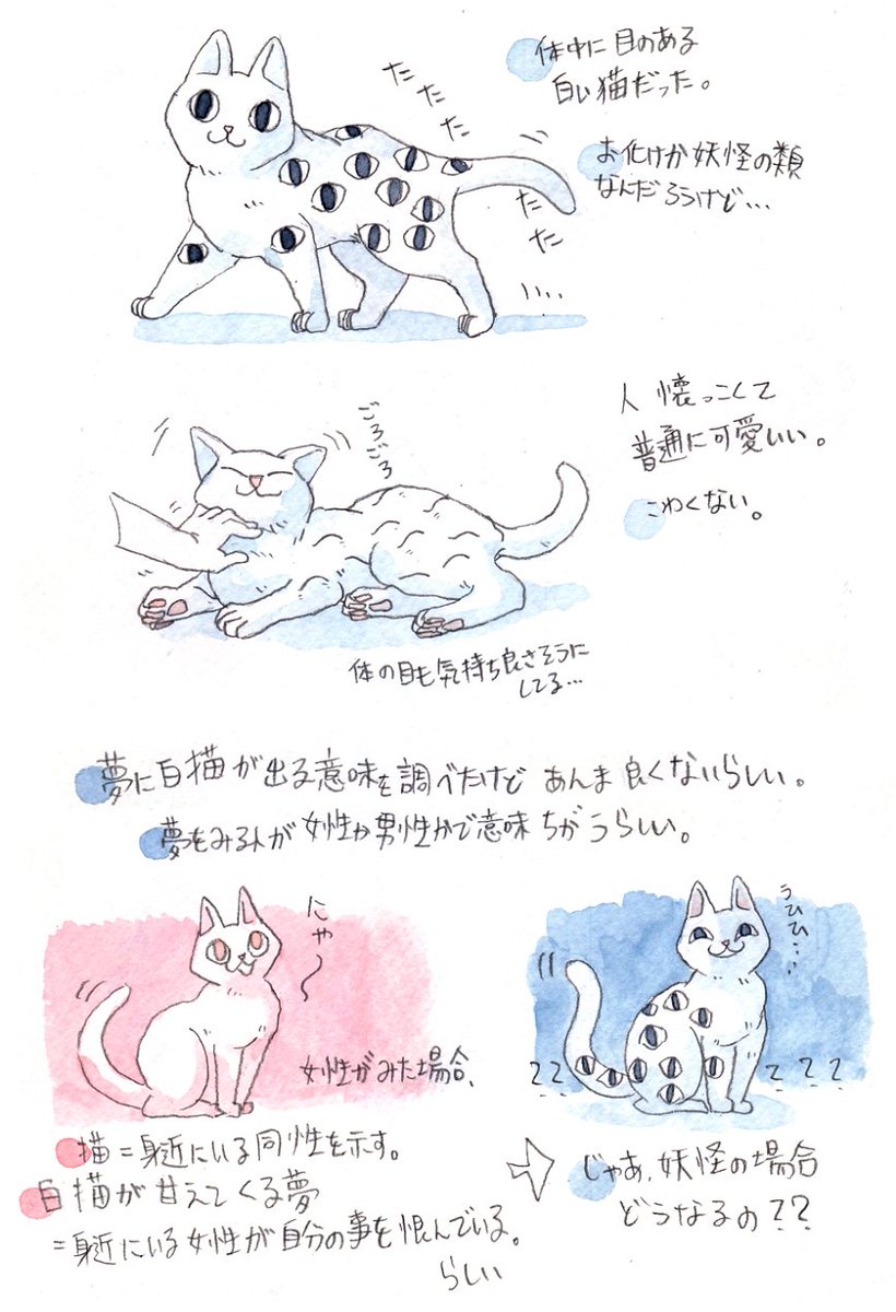 昔 夢に百目猫がでてきたから夢占い調べてみたけど あんま良い意味ではないみたい まみたの漫画