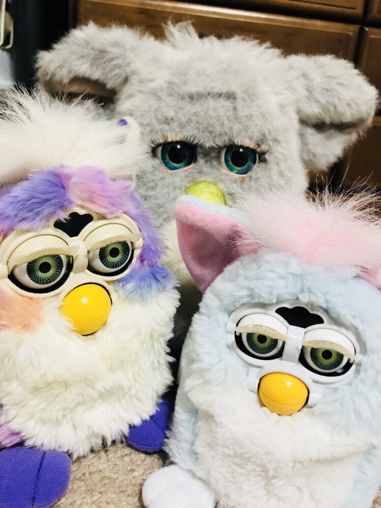 ge725254's tweet photo. ついにファービー2がうちにやってきた〜😭😭
感慨深い〜〜〜😭😭
トォルーとミーミーも喜んでいる😭 https://t.co/kwLkVzqZpD