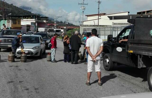 Ver imagen en Twitter