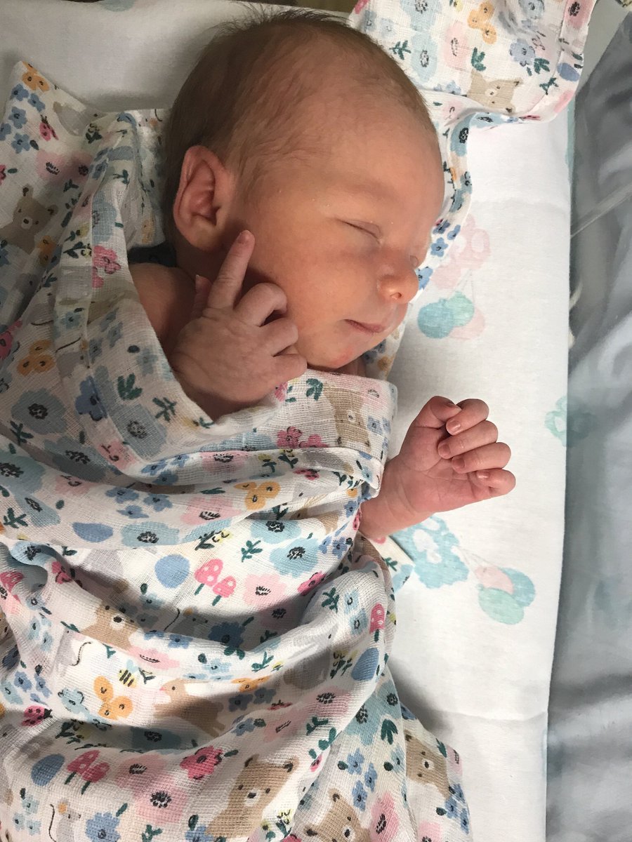 beudance's tweet photo. A new member of the BYDC family has arrived! Phoebe Wren Hoefkens-Lee, Born on the 24th April, 6lbs 10oz 😊looking forward to introducing her to all our dancers soon!💗 https://t.co/yRQ36E4IL8