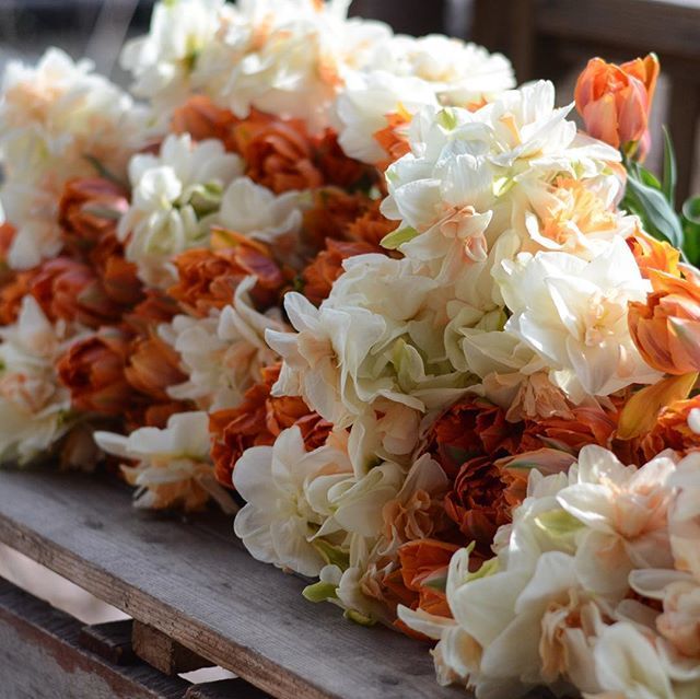 bloomery's tweet photo. Peaches and cream bouquets for our @pennscorner #flowercsa members this week:)) #bloomerygrown #tulips #daffodils #springflowers https://t.co/hGeTJ0Q3bZ https://t.co/RSOlvUVwst