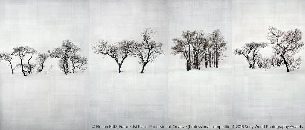 SonyFrance's tweet photo. Nous vous invitons à la galerie GADCOLLECTION à Paris jusqu’au 21 mai pour découvrir une sélection des photos lauréates des #SWPA #SWPA2018
Exposition ouverte au grand public. Pour plus d'informations : https://t.co/eY2In6099t https://t.co/tZu65sJDR8
