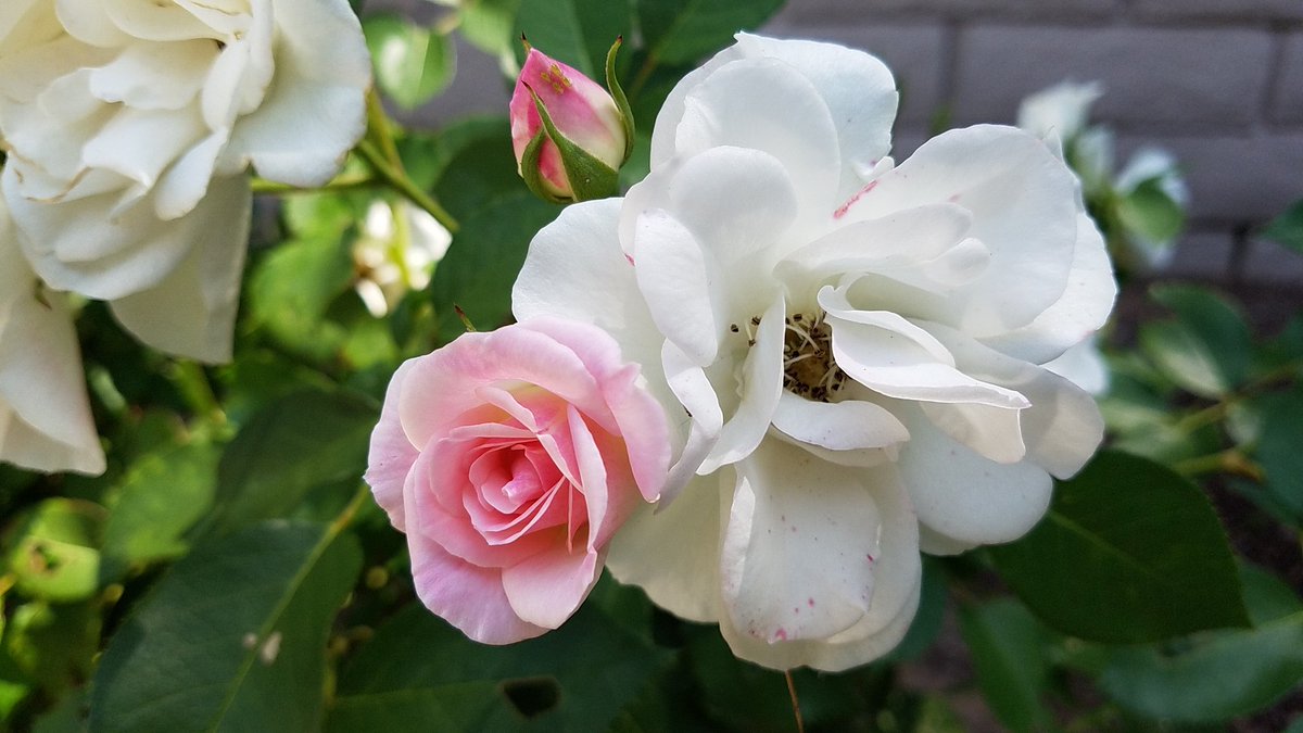 beverleigh4you's tweet image. You can change your world by changing your next thought. Think: What do you want to change in your life &amp;amp; what will you do now to change it? #changetherules #ChangeYourLife #bethechangetakethechallenge #ChangeIsComing #Motivation #BeTheChangeYouWantToSeeInTheWorld