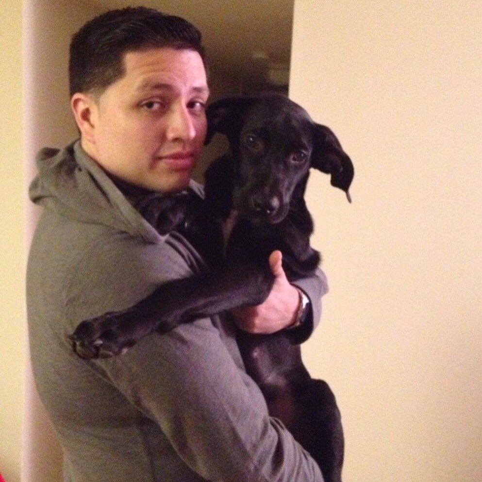 D_Professor_11's tweet photo. Celebrating this “not so little” puppy’s birthday!! Best thing in my life! #Onyx #BirthdayMonth #DogsOfTwitter #PuppyLove #MansBestFriend #MyDog https://t.co/N7OO6o4N9B