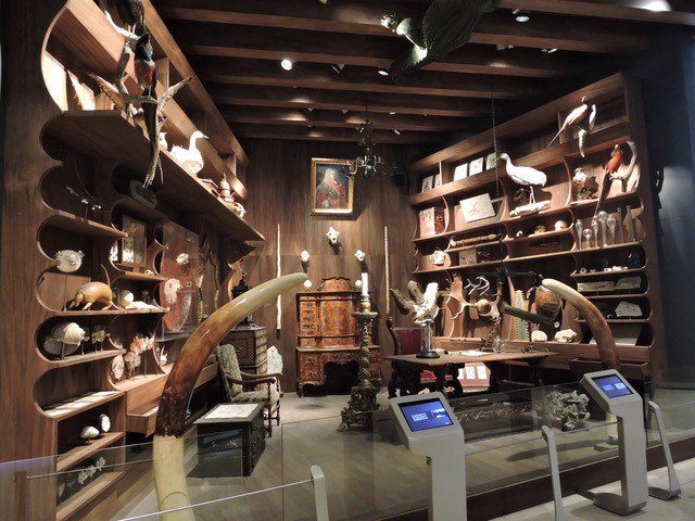 Crestron's tweet photo. Conoce museo del Barroco, un referente internacional del arte y la cultura, diseñado por Toyo Ito y una solución con tecnología de punta integrada por Ginsatec con Crestron. Ganador en Crestron Latin Awards, te sorprenderá: https://t.co/p61AGzE7QO #CrestronLatin https://t.co/KVfkVAPTGf