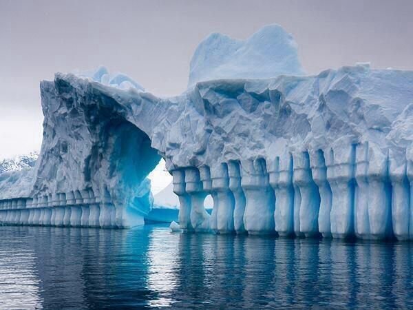 NaturalPicture5 tweet picture
