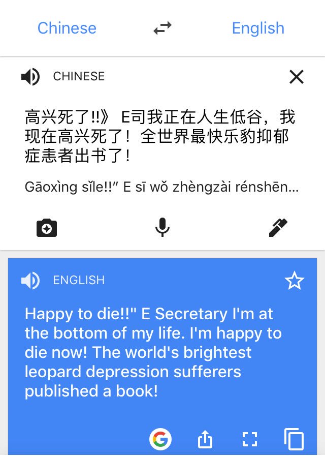 Nutmeg on Twitter "TheBloggess Using Google Translate I took a