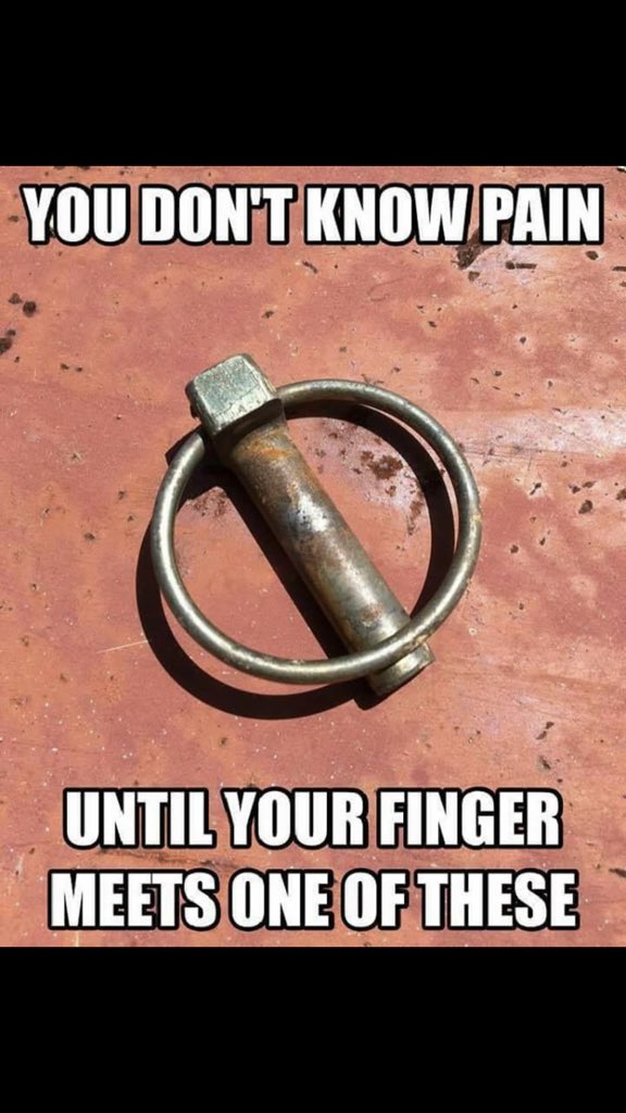 little Buck (@tyronemccrea) on Twitter photo 