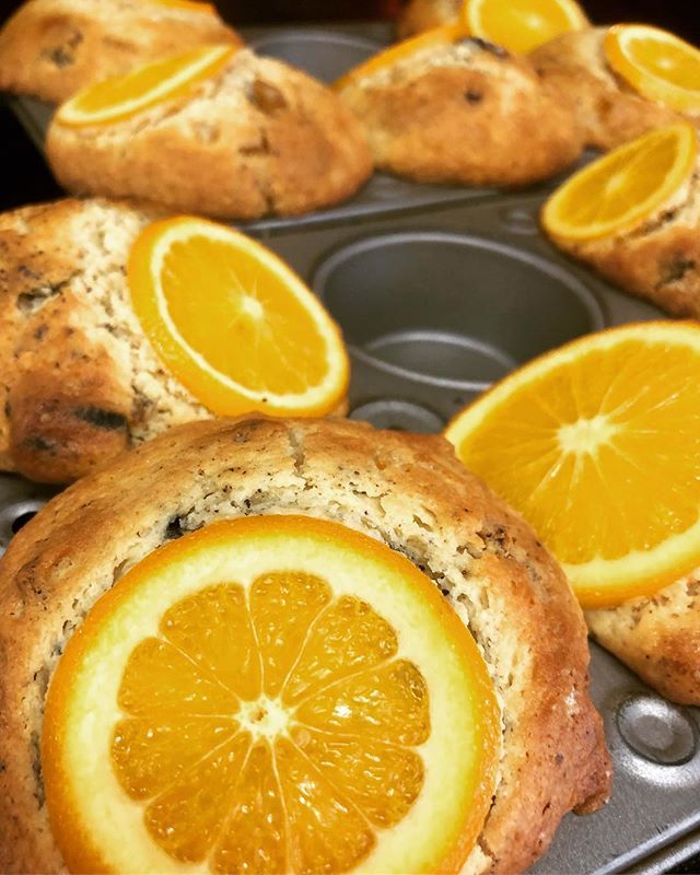 Susiebagel 今週のマフィンはオレンジオレオ お休み明け 10時open 皆様のご来店をお待ちしております Susiebagel スージーベーグル Bagel ベーグル ベーグル屋 Muffin マフィン 週替わりマフィン 広島県 広島 福山市 福山市ベーグル