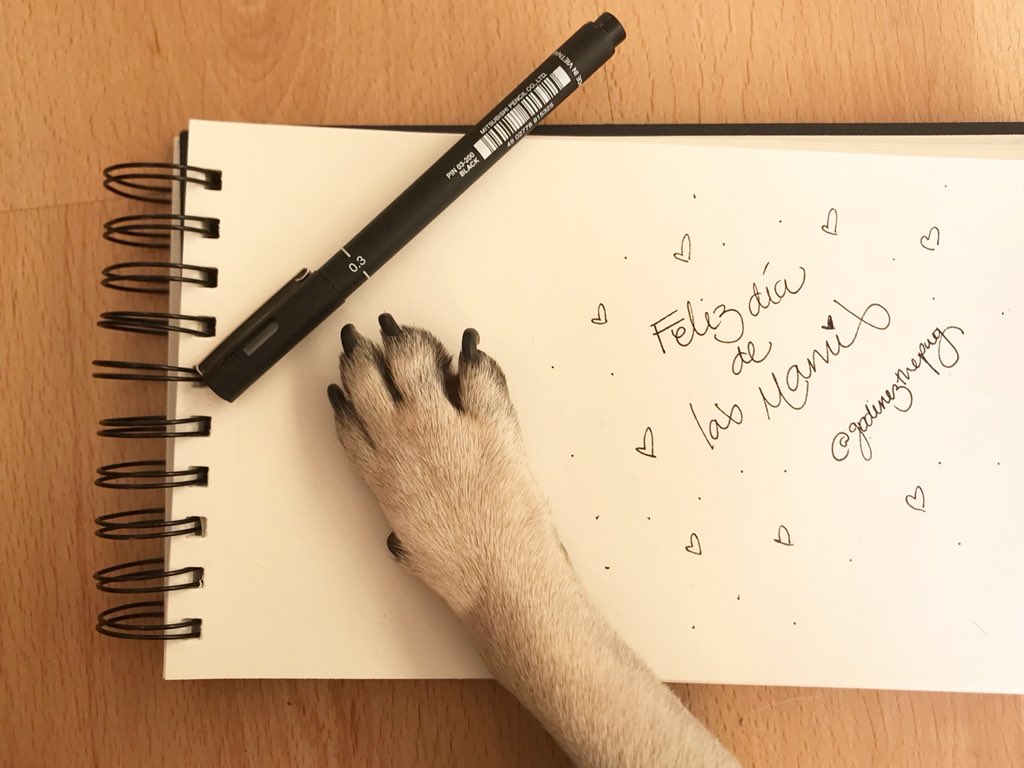 GodinezThePug's tweet photo. #FelizDiaDeLasMadres https://t.co/lbIWFS4G74