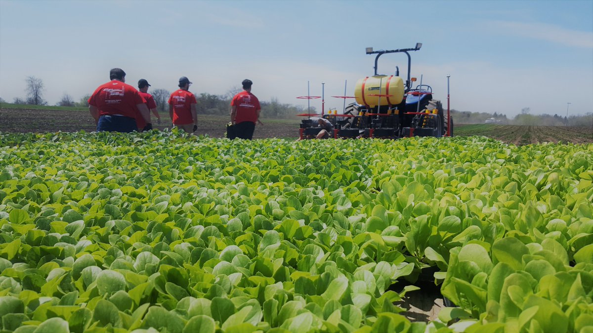 hungertaskforce's tweet image. 10,000 lettuce, 30,000 broccoli and 15,000 collard greens... that's how many plants are safely in the ground thanks to The Farm's volunteer and staff. Volunteers still needed! Contact sarah.anderson@hungertaskforce.org to learn more.