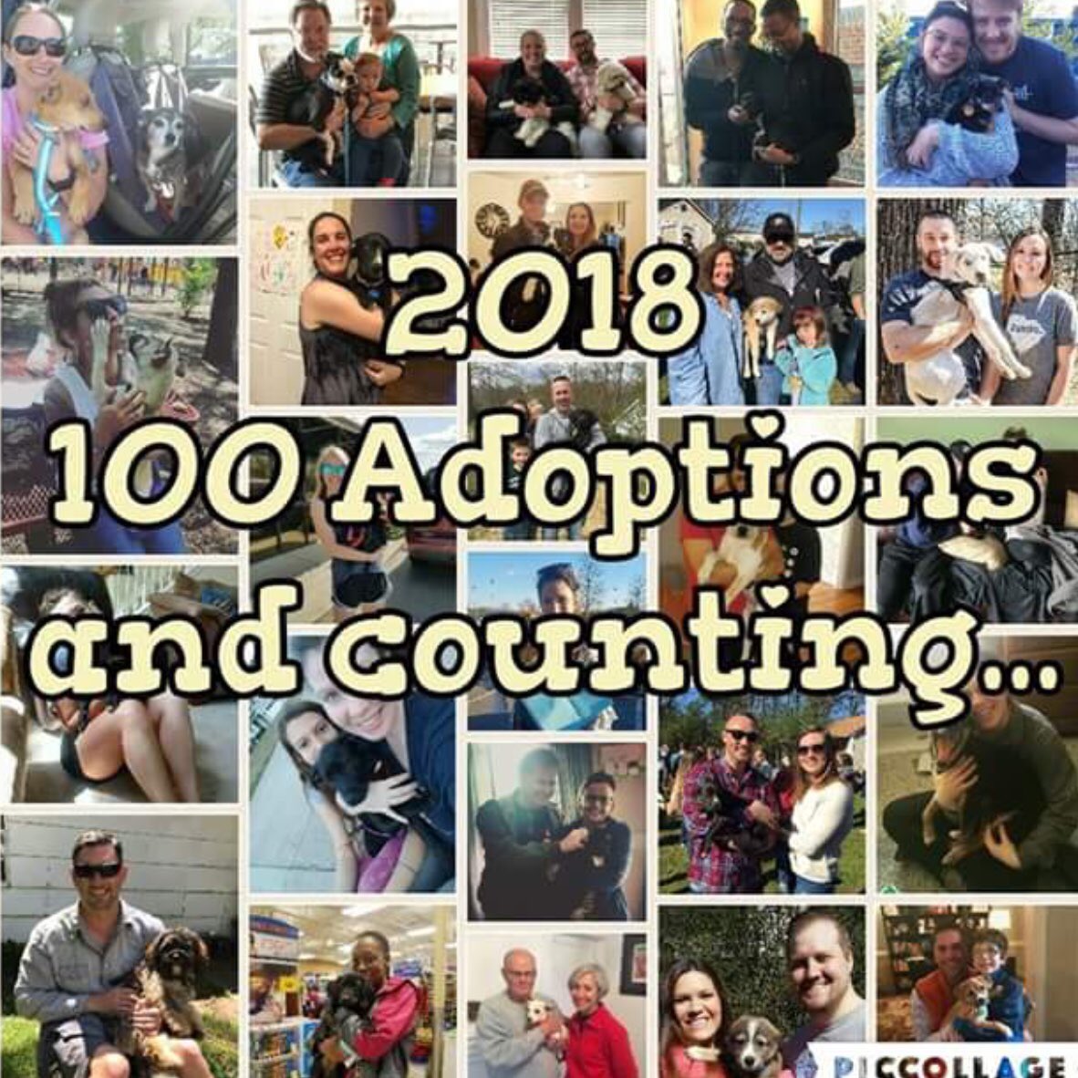 100 adoptions so far this year! #AdoptDontShop #yeahthatgreenville #luckypuprescue #SCdogs #rescuedogs #doglover #rescuedogsrock