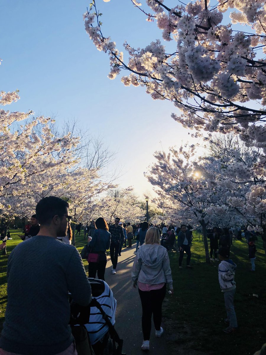 studyaston's tweet photo. Study Aston'da eğlenceli aktiviteler!! Şimdi Cherry Blossom zamani! Biz çok eğlendik!
Arkadaşlarınızla hem aktivitelerin keyfini çıkarın hem de ingilizce pratik yapın.
#studyaston #cherryblossom #together #friend #activities #practiceenglish #toronto https://t.co/NVGkfx4SdT
