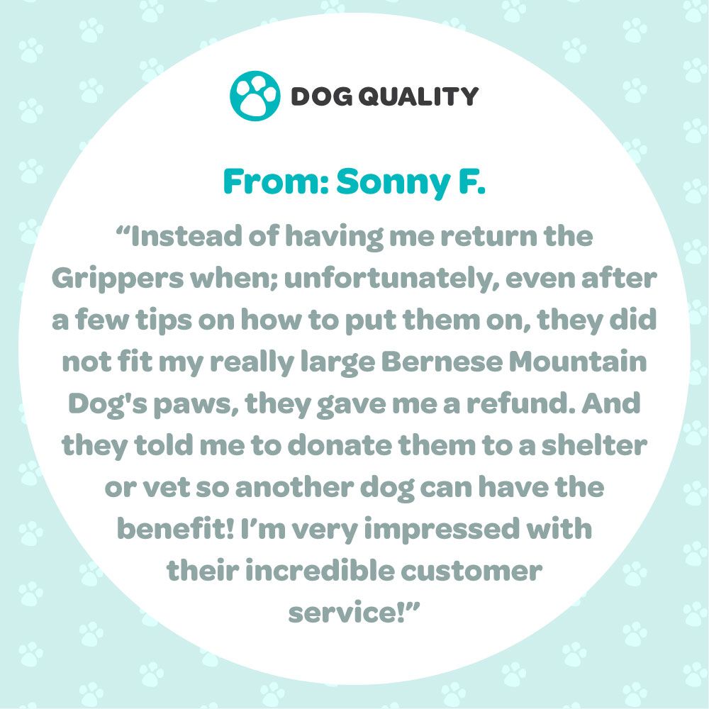 dogquality's tweet photo. We are sure sorry that our Grippers didn't work out for your big guy Sonny! But we're so happy to hear that you had a great experience with our team! Thank you for donating the socks and for this kind review! 💛#DogQuality #DogSocks #Grippers #BerneseMountainDog #GiveBack https://t.co/23n9G8b7gK