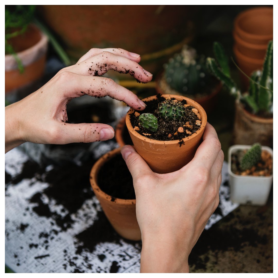 Celebrating the #sun today with some quality time in your #garden?

How about creating your own, herbal #green space just in time for summer?
Have a look at our top handy #gadgets for some advanced, #horticultural experience!

#herbs #gyo #gardening

bit.ly/2FlSf4h