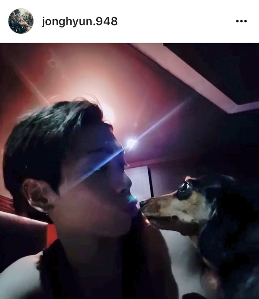 Hyungjong Shineeのペットたち Shinee テミン アダム イヴ Key コムデ ギャルソン ジョンヒョン ルー 韓流ペット