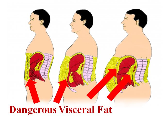 #weightloss #mensfatloss - 3 Keys To fat loss Success- Click: hubs.ly/H0c0wlm0