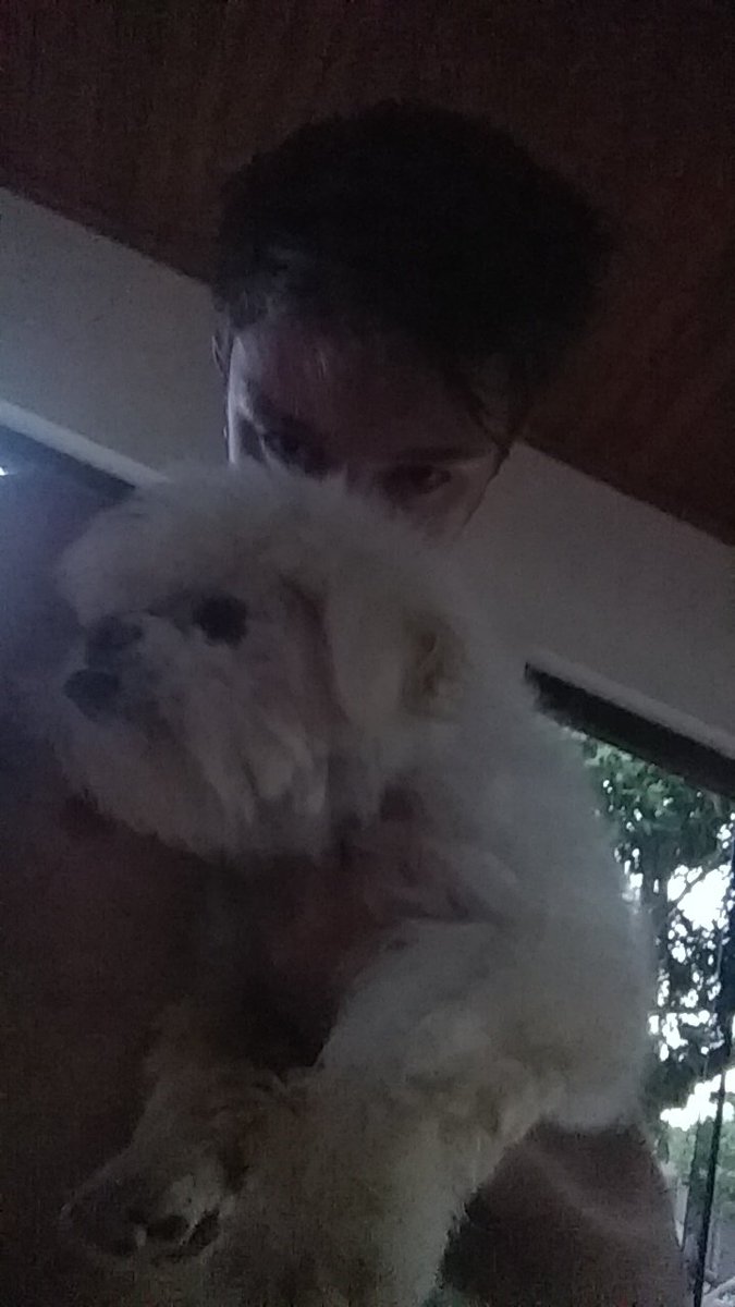 gionedis_'s tweet photo. Obrigado por esses quase 16 anos ao meu lado. Você sempre foi um guerreiro, adeus meu amigo, vai fazer muita falta ♥️😥 https://t.co/5MtiAx9ZWN