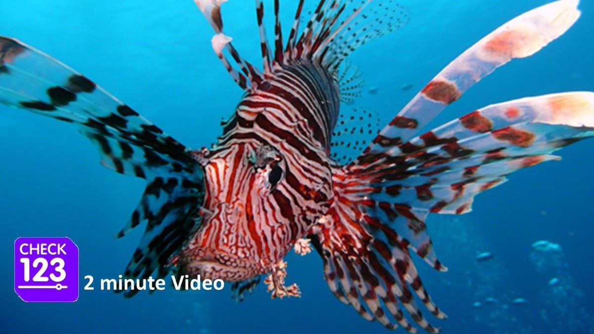 Check123 NATURE tweet media