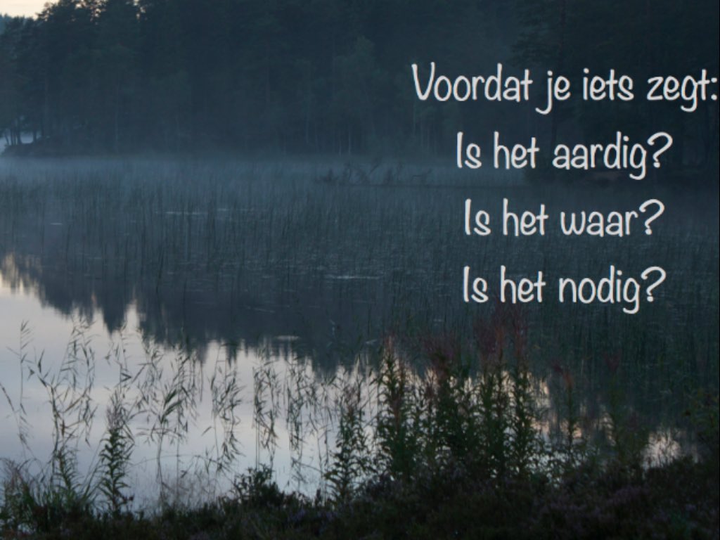 Inge van Wolferen tweet media