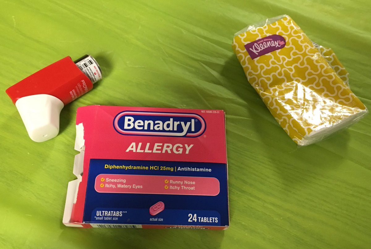 RebeccamHunter's tweet photo. Teachers gotta teach. #allergies https://t.co/BhwVqtoKmz