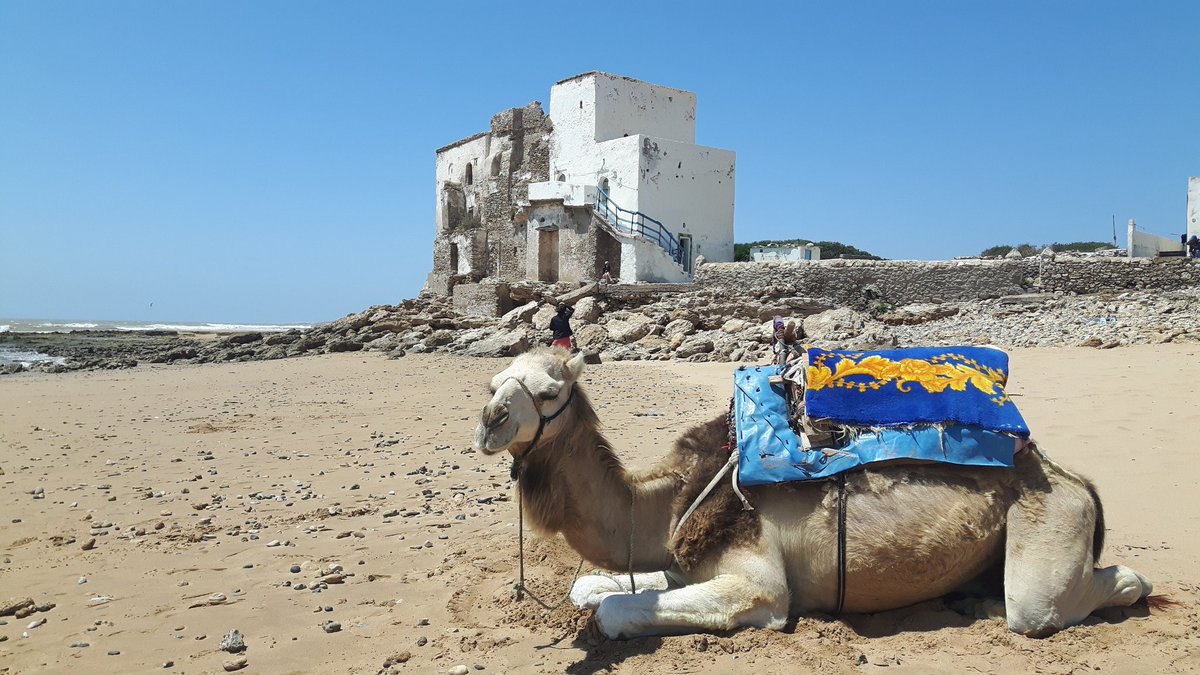 nwpowderdays's tweet photo. |#OutOfOffice|

Después de una temporada tan intensa de #NoWorkingDays vienen las vacaciones de las vacaciones...

Time to 👉 Surfing Days 🏄

#NoWorkingOnSurfingDays
#NiTanMal 😎👌🐪 https://t.co/Za0gkoK6AN