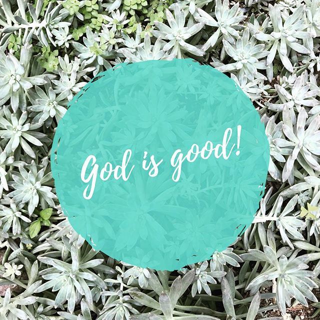 AndreaJLennon's tweet photo. God is so good to work in the sweetest and neatest and smallest and biggest of ways! Look for Him today. Seek Him out. Peel your eyes for His grace gifts. You will find that the greatest treasure you will ever receive is Him. #truthonthego #truevineministry #knowitliveitshareit https://t.co/uBkHqPt0R5