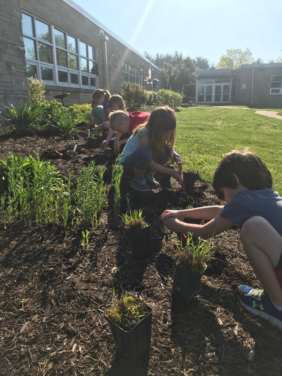 MarlinDragons's tweet photo. GOING NATIVE! Mrs. Lewis' 1st graders worked with @SycLandTrust to add additional native plants to the outside of Marlin. Come visit and see their great efforts! #GoDragons https://t.co/Iqdmc4rhuc