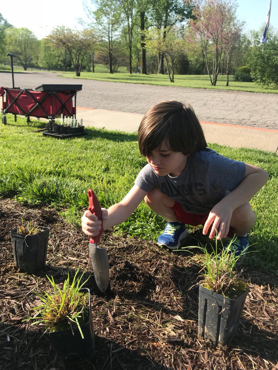 MarlinDragons's tweet photo. GOING NATIVE! Mrs. Lewis' 1st graders worked with @SycLandTrust to add additional native plants to the outside of Marlin. Come visit and see their great efforts! #GoDragons https://t.co/Iqdmc4rhuc