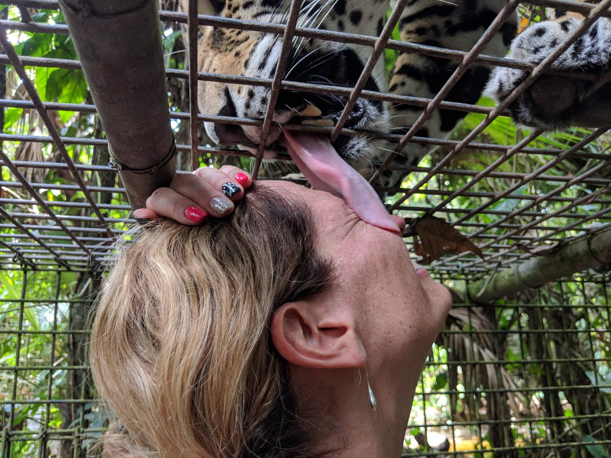Farfromlocal1's tweet photo. Love animals?  We've been around the world and know the best places to interact with #animals...  Even where to be licked by a #Jaguar!

https://t.co/qrkCpgm95B https://t.co/KFE7oFErjS