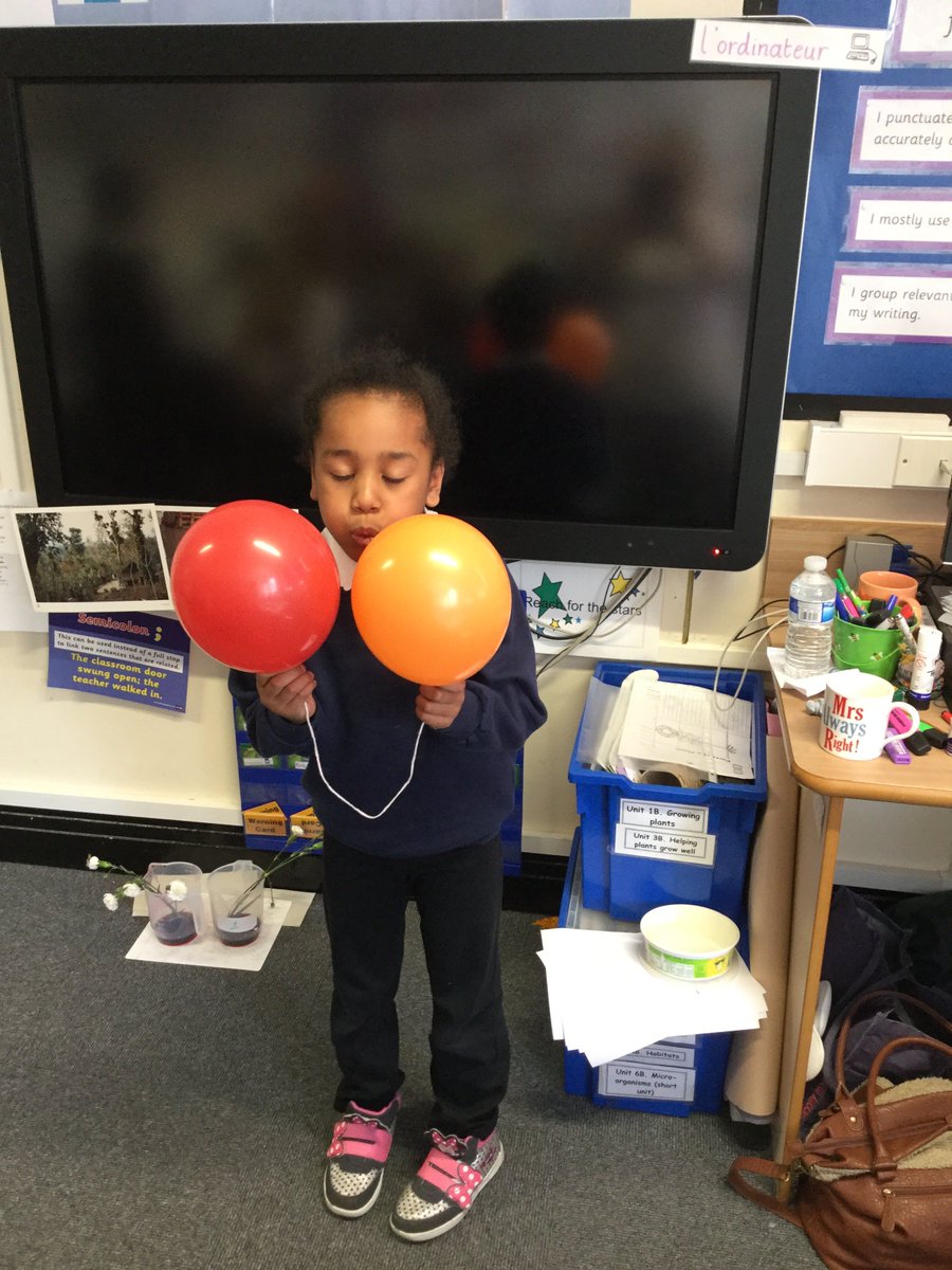 ChristchurchP's tweet photo. Science Club investigating pressure. #pressureforcearea https://t.co/CY5JlTjx7A