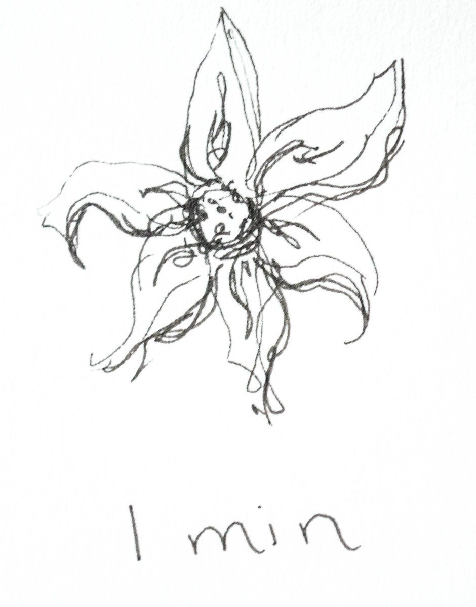 mwillettartist's tweet photo. One, Two, Three minute floral drawings!
#oneminute #twominutes #threeminutes #1minute #2minutes #3minutes #Timedart #Sketch #Drawing #Micron #Flower #Flowers #Flora #Floral #artovertime https://t.co/jDQ3UmSiBY