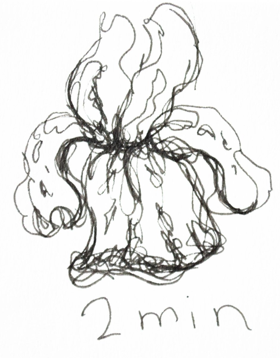 mwillettartist's tweet photo. One, Two, Three minute floral drawings!
#oneminute #twominutes #threeminutes #1minute #2minutes #3minutes #Timedart #Sketch #Drawing #Micron #Flower #Flowers #Flora #Floral #artovertime https://t.co/jDQ3UmSiBY
