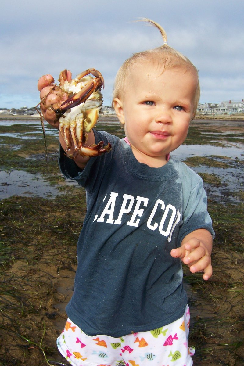 CapeCodLife's tweet photo. Professional beachcomber
.
#capecodlife #capecodkids #beachday https://t.co/Vlqy7ABrVa