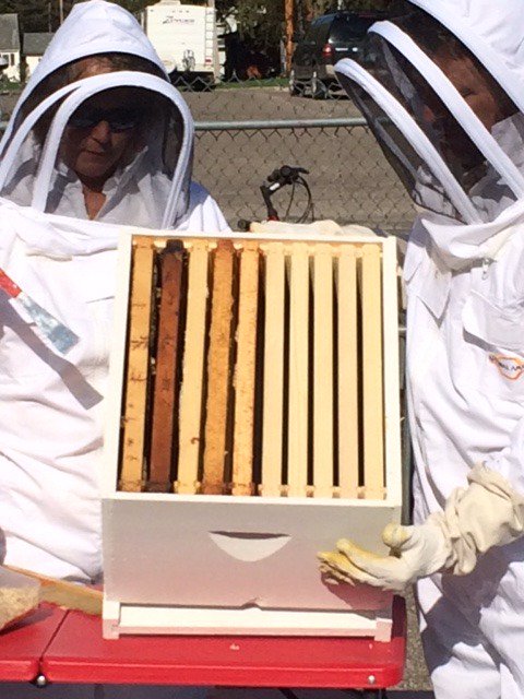 CHARGERSDE's tweet photo. More photos from the kindergarten beekeeper presentation. #WeRDC #DasselRocks https://t.co/XiwduA8nTB