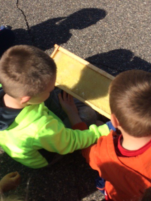 CHARGERSDE's tweet photo. What is the BUZZ around Dassel Elementary? Kindergarten got to learn all about Beekeeping from our Sue Cron.  Great Job to all involved. #WErDC #DasselRocks https://t.co/szfv3gz7LU