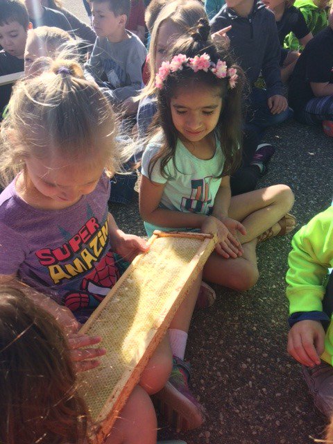 CHARGERSDE's tweet photo. More photos from the kindergarten beekeeper presentation. #WeRDC #DasselRocks https://t.co/5tjJKy3NOP