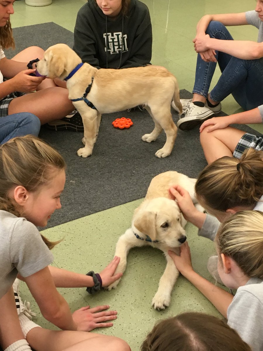 JudiAOBrien's tweet photo. Thank you @Retrieving Independence for visiting us @HarpethHall #retrievingindependence https://t.co/VQN26tlEit