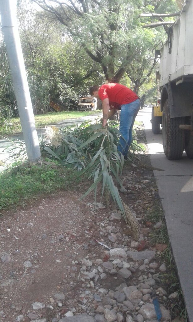 cpccolonmunicba's tweet photo. Se realiza la recolección de poda y basura en Av. Ramon Mestre Sur https://t.co/LyaRPQNYOn