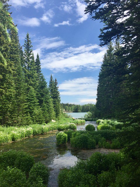 luv4destination's tweet photo. Blue skies &amp; green trails! Who's ready to get on a trail?  Tell us where you are going!  #hiking #wildernessculture #stayandwander #travel #destinationcollection https://t.co/SfAFTGDyZj