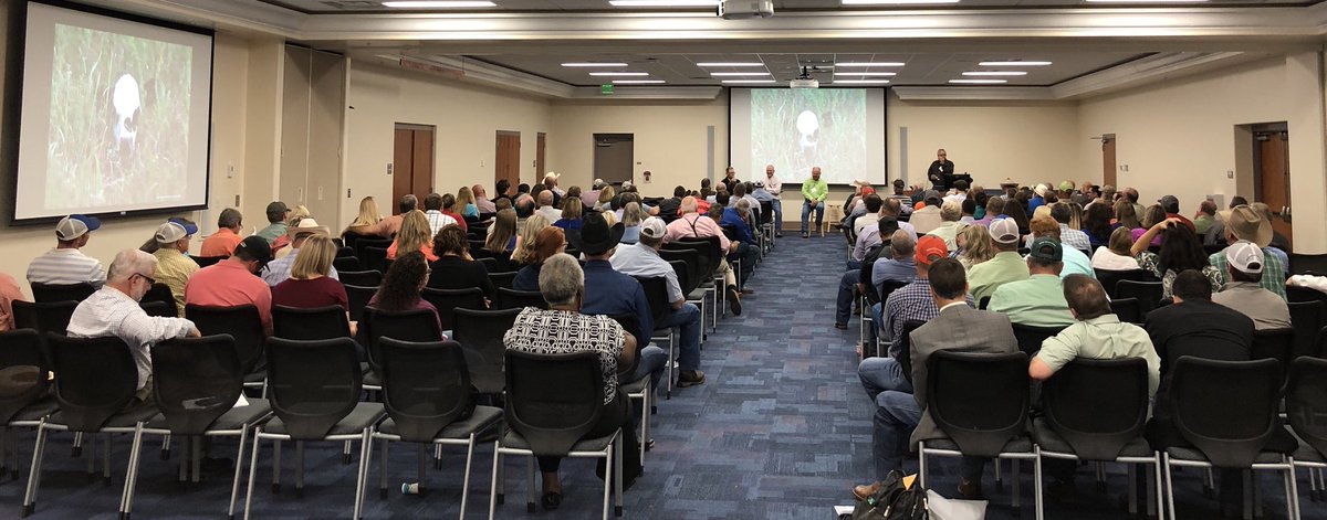 RalucaUF's tweet photo. Great producer panel on AI success and failure during the FL Beef Short Course #BeefMonth #UFAnsci #FLBeef https://t.co/vizPo8rcrU